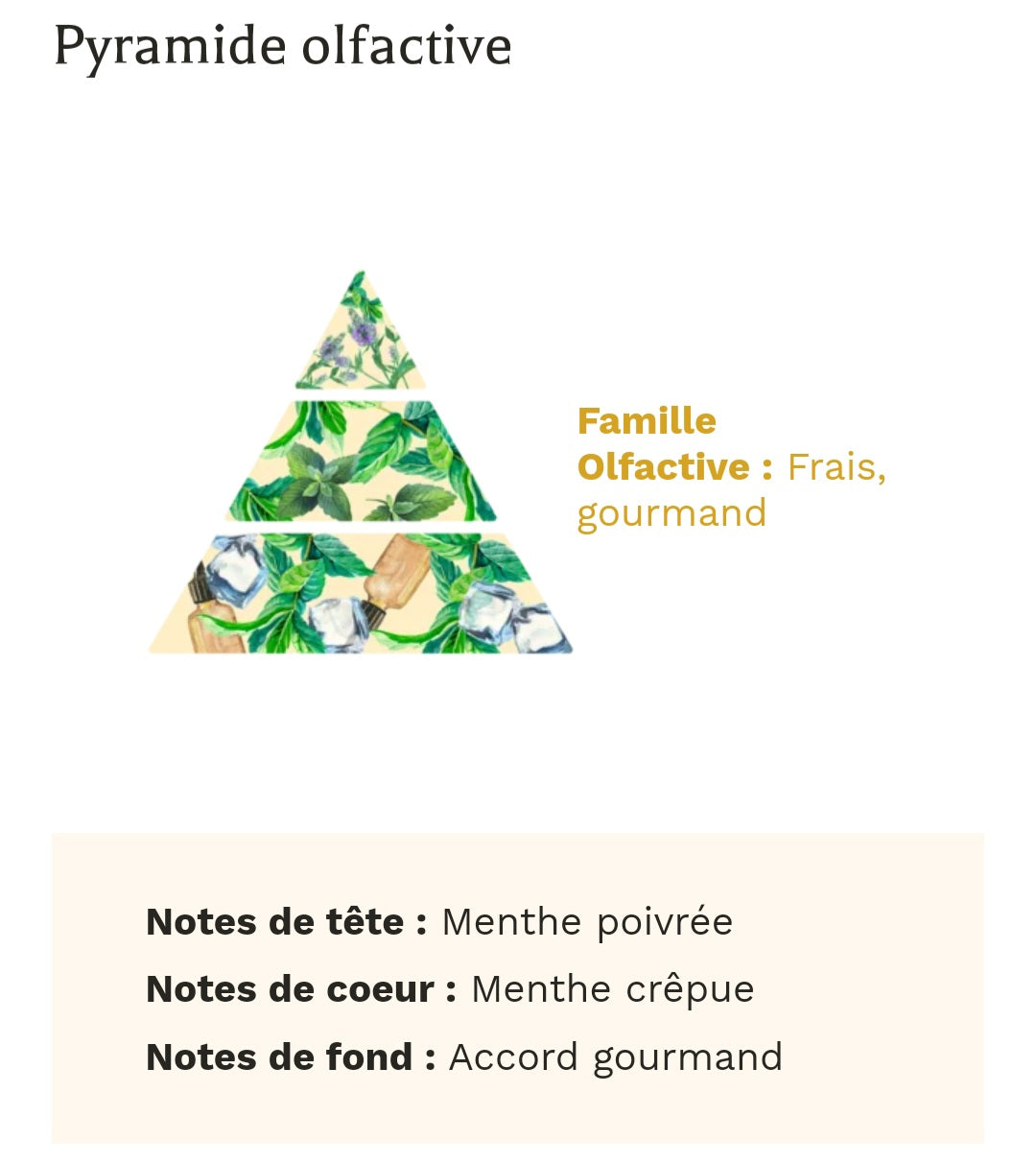 bougie gourmande parfumé MENTHE CHLOROPHYLE